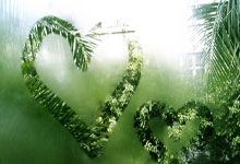 天涯十大神贴之谜：那些年我们在天涯论坛刷的经典贴子秘密