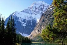 天涯十大神贴是什么？那些年我们一起读过的神贴！