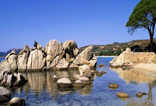 天涯十大神贴之谜：那些年我们在天涯论坛刷的经典贴子秘密